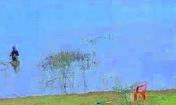 Imagem 4: Lote..Icém oportunidade