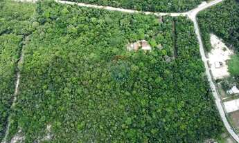 Imagem 5: Terreno Comercial em Tarumã: Oportunidade Única!