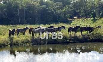 Imagem: Fazenda Ourinho de Deus - 63 alqueires