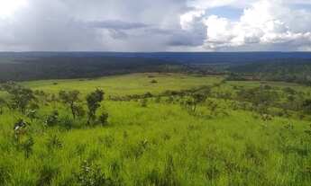 Imagem 2: Explore as Vantagens de Comprar uma Fazenda em Porto Nacional - Detalhes Aqui!