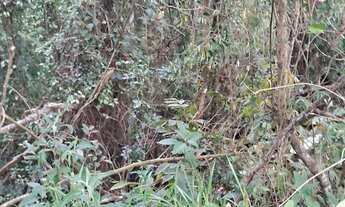 Imagem 7: Condomínio Bhotanica Jarinú