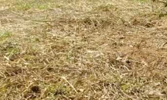 Imagem 2: Terreno em serra azul