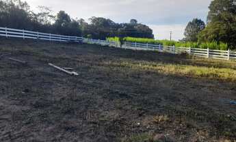 Imagem 6: Chácara em Mandirituba