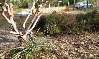 Imagem 5: Terreno no povoado Ouricuri em Estância medindo 18/46