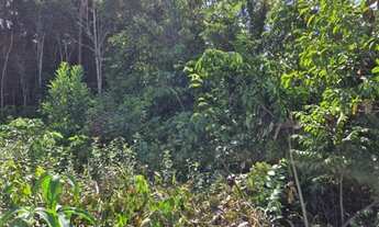 Imagem 5: Terreno em Iranduba a 20 min da ponte Rio Negro