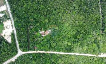 Imagem 6: Terreno Comercial em Tarumã: Oportunidade Única!