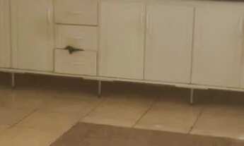 Imagem 5: Casa próximo UFG samambaia 2 quartos com garage. 1 Anderson