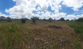 Imagem 3: Vendo terreno 1500 MT quadrado (passa de meia tarefa