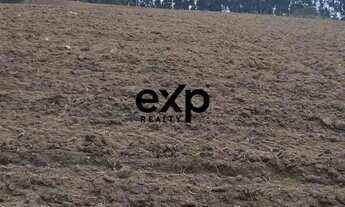 Imagem 6: Chácara à Venda em Agudos do Sul - PR