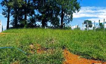 Imagem 6: Terreno amplo pronto para projeto