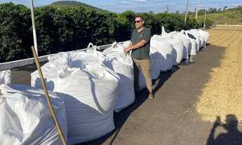 Imagem 5: FAZENDA DE ALTO PADRÃO 729 HECTARES MINAS GERAIS