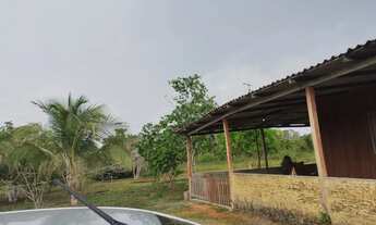 Imagem 3: Vende Sítio Chácara com venda por R$100.000