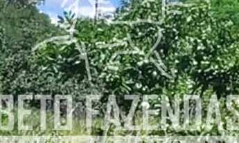 Imagem 2: Imóvel para venda tem 6240000 metros quadrados em Zona Rural - Chapada Gaúcha - MG