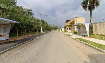 Imagem 3: Apartamento com 3 quartos para alugar por R$ 1200.00, 62.93 m2 - CAPELA VELHA - ARAUCARIA