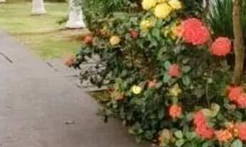 Imagem 4: Apartamento com 2 dormitórios à venda, 47 m² por R$ 220.000,00 - Parque Industrial - Marin