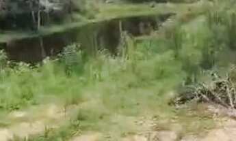 Imagem 4: Área Rural para formação de chácara