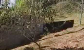 Imagem 7: TERRENO - CHÁCARAS SILVANIA - SP