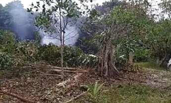 Imagem 5: Vendo terreno zona Rural, Novo Airão, no ramal Vale Dourado, comunidade Bom Jesus