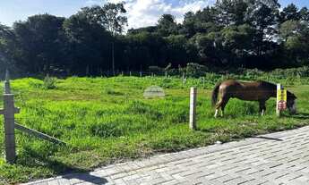 Imagem 5: Vendas Terreno Almirante Tamandaré PR