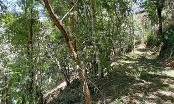 Imagem 3: Lote à Venda no Centro de Santo Antônio do Pinhal com Mata Nativa e Localização Privilegia