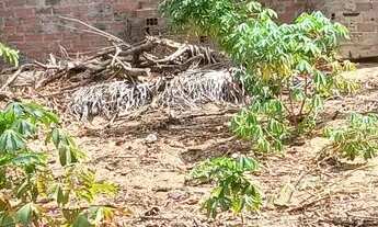 Imagem 6: Vende-se ou Troca-se casa