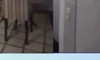 Imagem: APARTAMENTO 1 QUARTO NA PITUBA