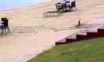 Imagem 5: Lote condomínio fechado Aurora do Lago Corumbá IV