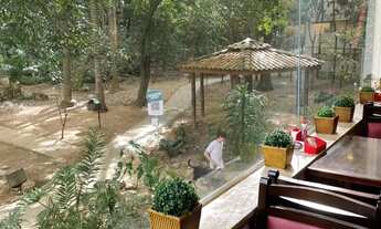 Imagem 5: Imóvel para aluguel com 75 metros quadrados com 3 quartos em Vila Amélia - São Paulo - SP