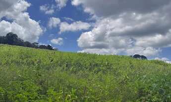 Imagem: Lotes a partir de 500 m² em Ibiúna/SP
