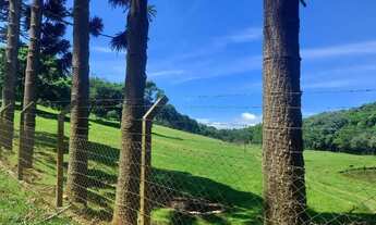 Imagem 2: Campo Largo, Jardim Florestal, chácara 22.088m², casa com varanda, lago, cercada, próximo