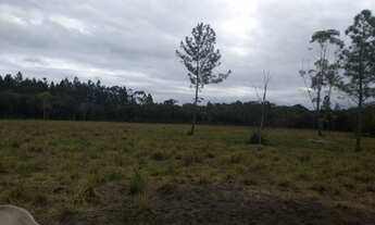 Imagem 4: Aceita permuta Fazenda / sítio com venda por R$3.800.000