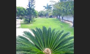 Imagem 5: Excelente chácara/ granja / sitio ! A mais TOP da região