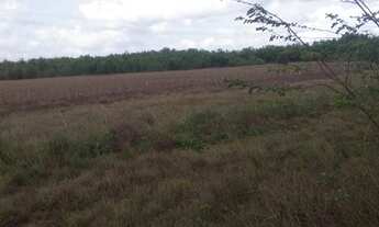 Imagem 3: Fazenda em Periz de Baixo, Bacabeira MA