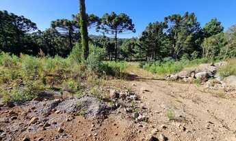 Imagem 5: Gramado - Terreno Padrão - Dutra