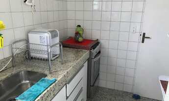 Imagem 3: APARTAMENTO TR?S QUARTOS BAIRRO PALMARES