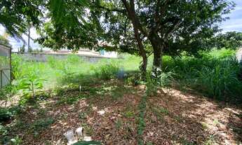 Imagem 5: Llote no Bandeirantes