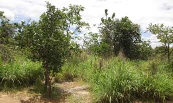 Imagem 6: Terreno de 16 hectares em Curvelo