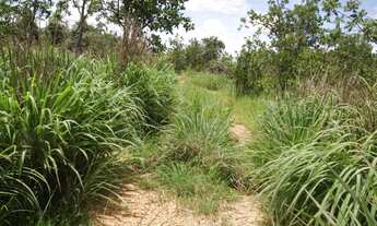 Imagem 3: Terreno de 16 hectares em Curvelo