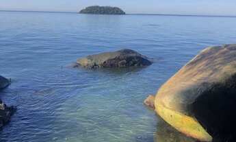 Imagem 2: Casa para aluguel e venda tem 900 metros quadrados com 1 quarto