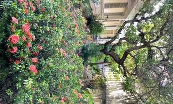 Imagem 6: Casarão para locação e venda no sítio histórico de Olinda - Pernambuco