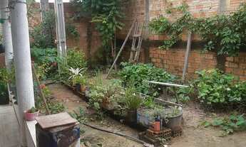 Imagem 6: Vende-se casa no joao de barro