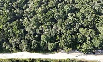 Imagem 2: Terrenos para Chácaras Balneário Gaivotas