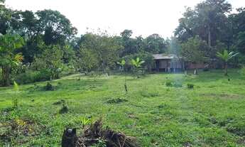 Imagem 3: Sítio em Cubatão de Guaratuba