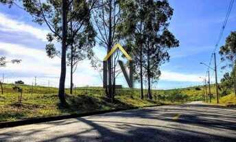 Imagem 4: Excelente terreno à venda no Campos do Conde Taubaté com 717m²!