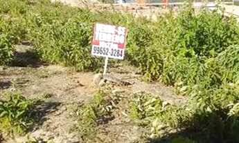 Imagem 2: Terreno na lateral do caruaru shopping