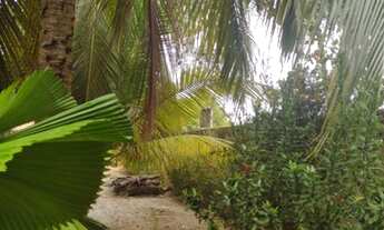 Imagem: Sítio exelente para construtores ! Monte