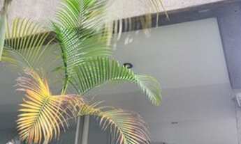 Imagem 3: Apartamento para aluguel possui 85 metros quadrados com 2 quartos