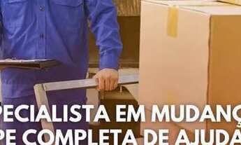 Imagem 4: Especialistas em mudança e fretes