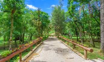 Imagem 4: Campo Largo, cinematográfica, 45.724m², piscina aquecida, poço artesiano