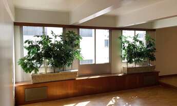 Imagem 4: HIGIENOPOLIS- 340 UTEIS- MARAVILHOSO- PROX. MAKENZIE